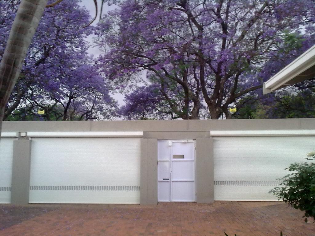 Rosebank Lodge Guesthouse By Claires جوهانسبورغ المظهر الخارجي الصورة