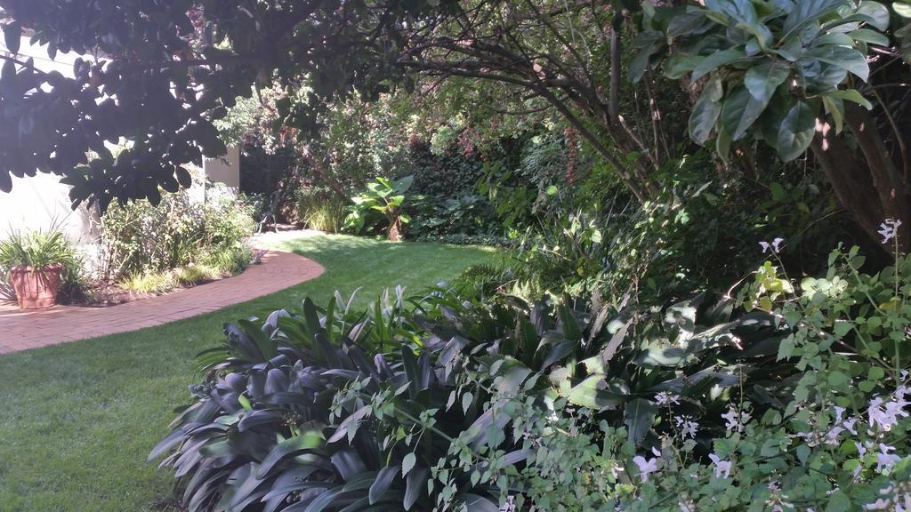 Rosebank Lodge Guesthouse By Claires جوهانسبورغ المظهر الخارجي الصورة