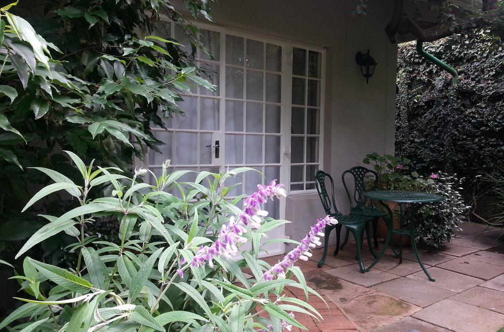 Rosebank Lodge Guesthouse By Claires جوهانسبورغ المظهر الخارجي الصورة