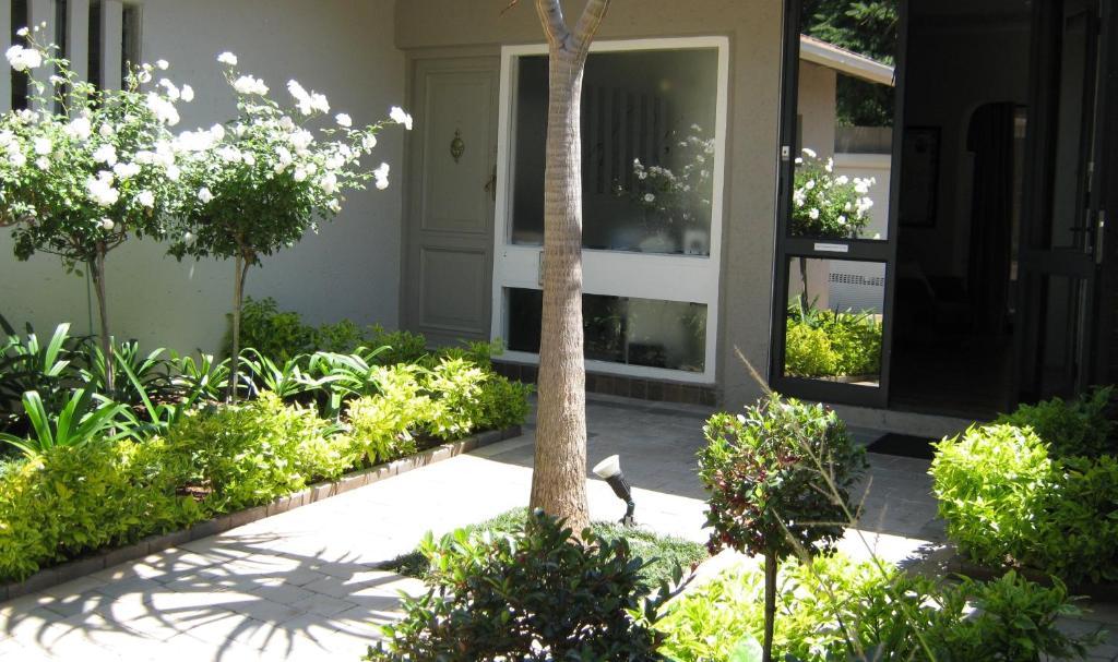 Rosebank Lodge Guesthouse By Claires جوهانسبورغ المظهر الخارجي الصورة